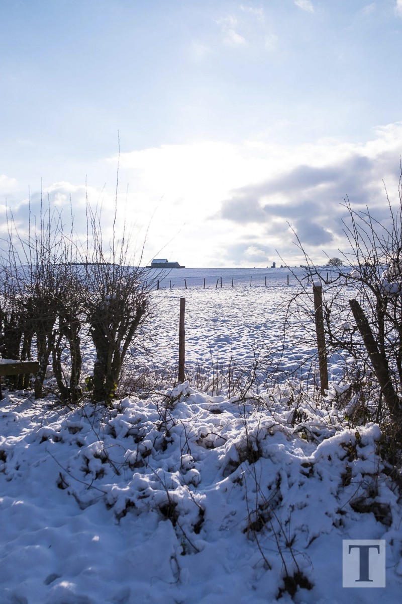 06.02.2018_Editpress_417644