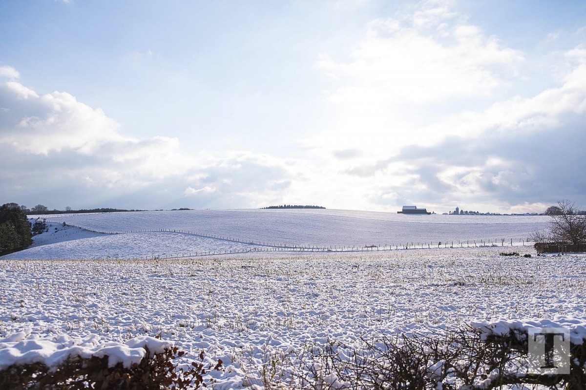 06.02.2018_Editpress_417645