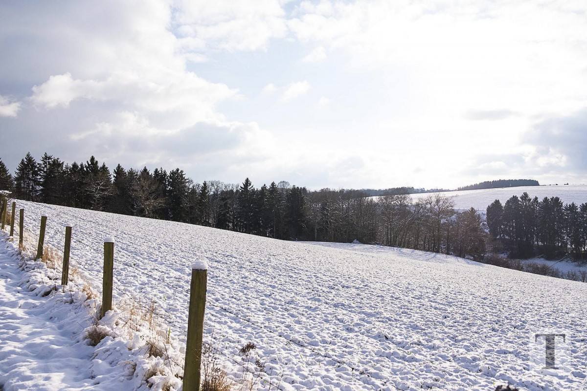 06.02.2018_Editpress_417646