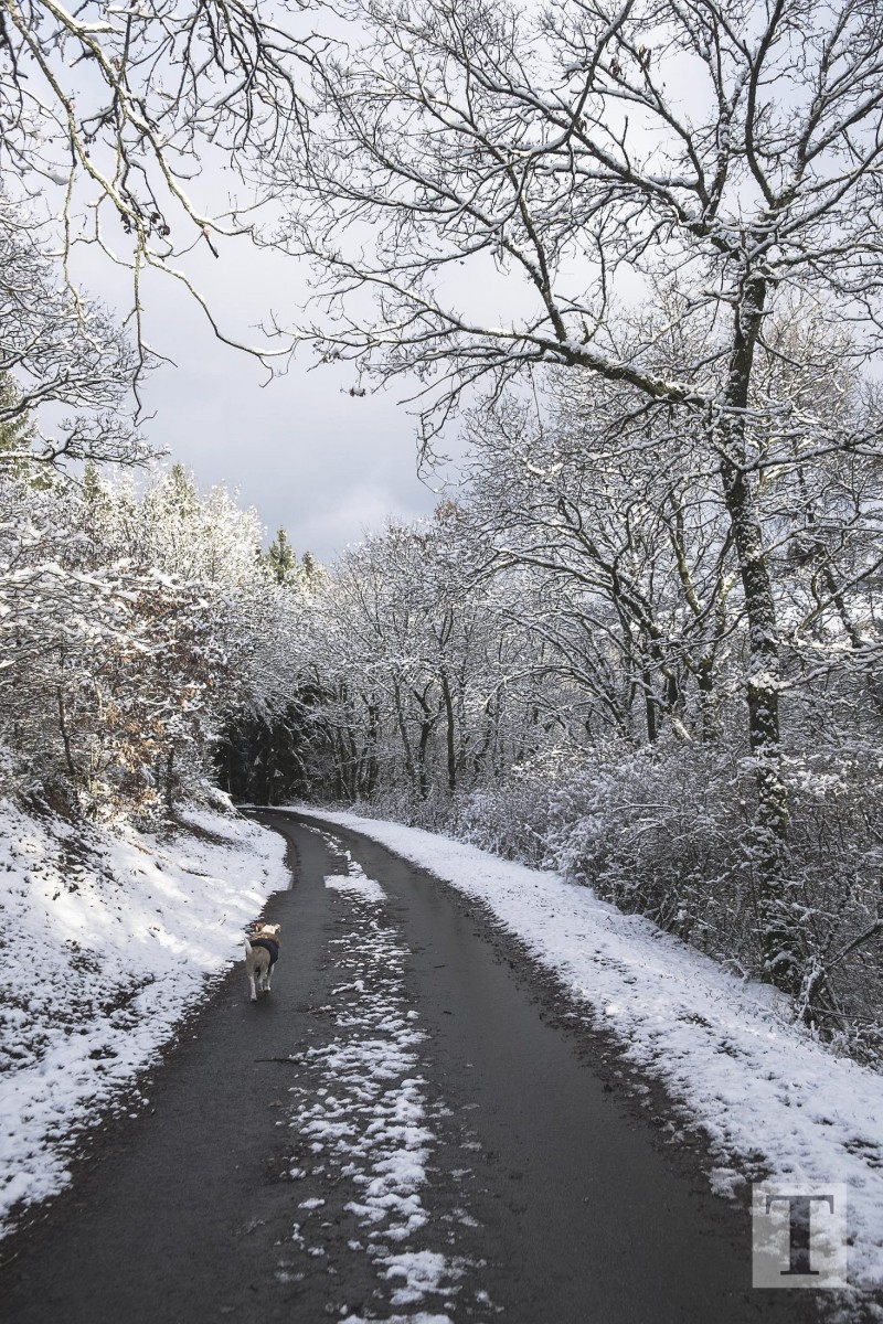 06.02.2018_Editpress_417647