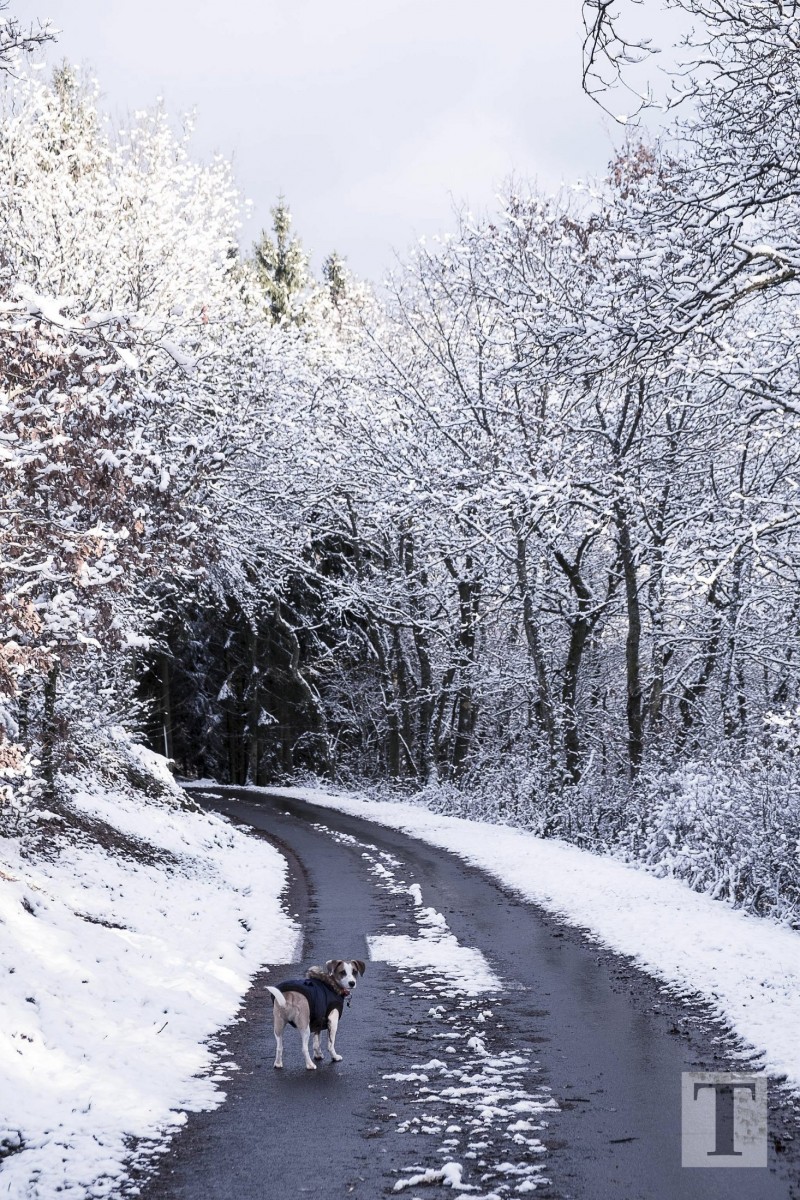 06.02.2018_Editpress_417648