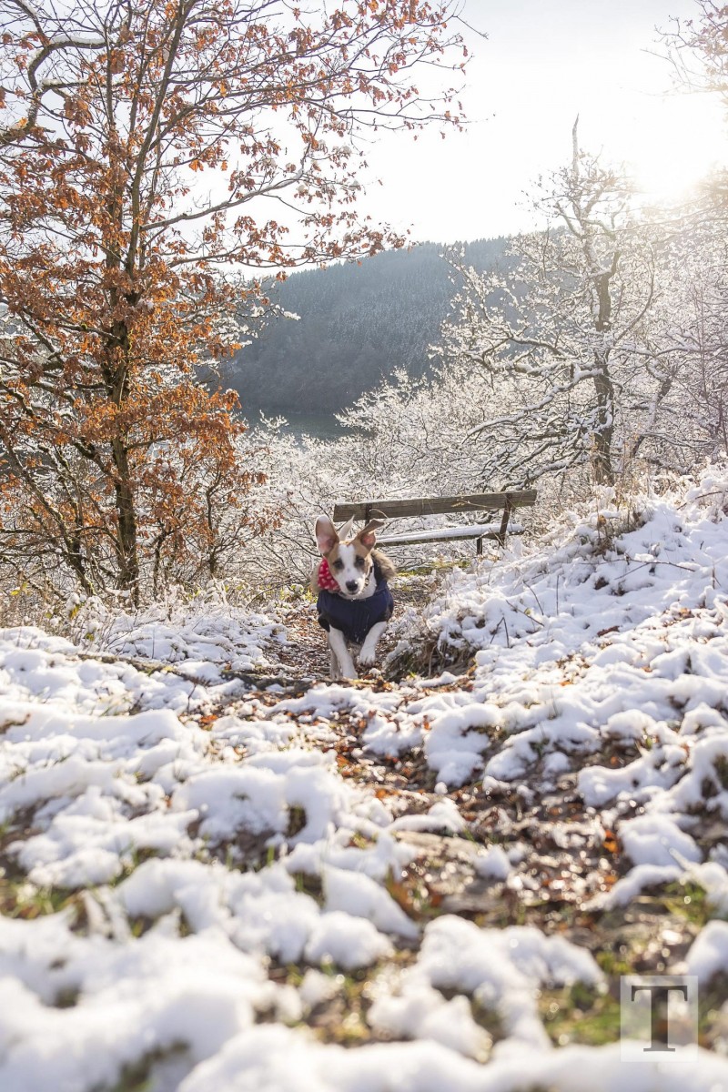 06.02.2018_Editpress_417651