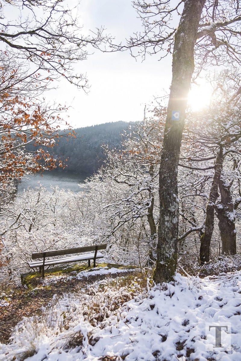 06.02.2018_Editpress_417652