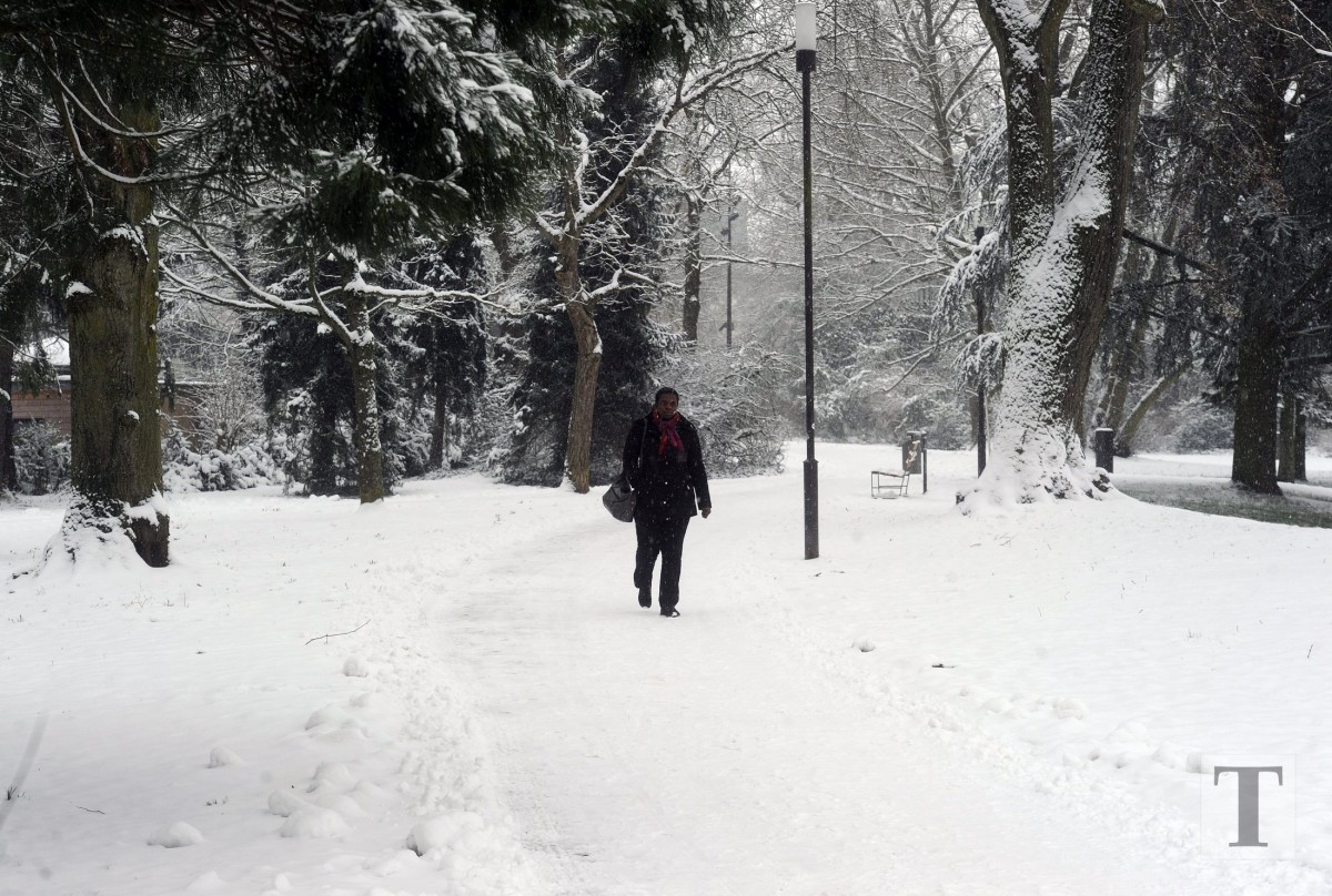 06.02.2018_Editpress_417681