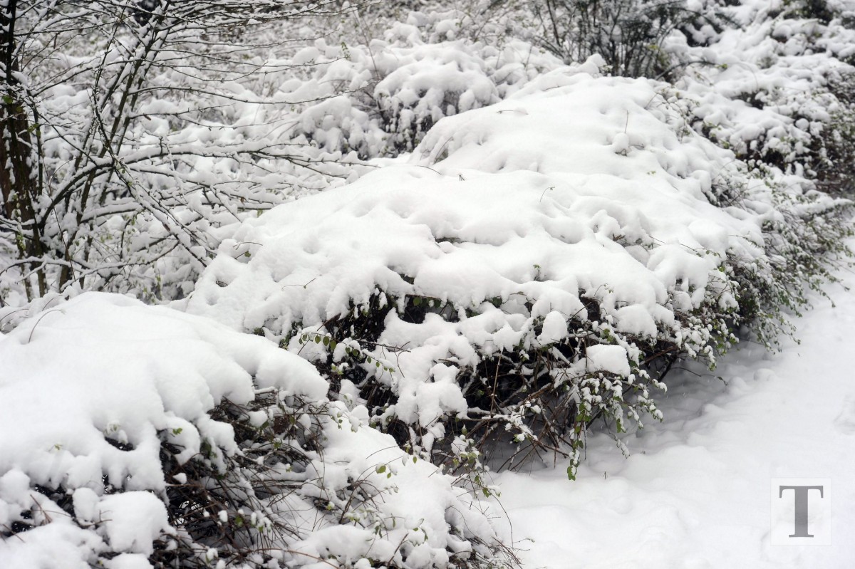 06.02.2018_Editpress_417683