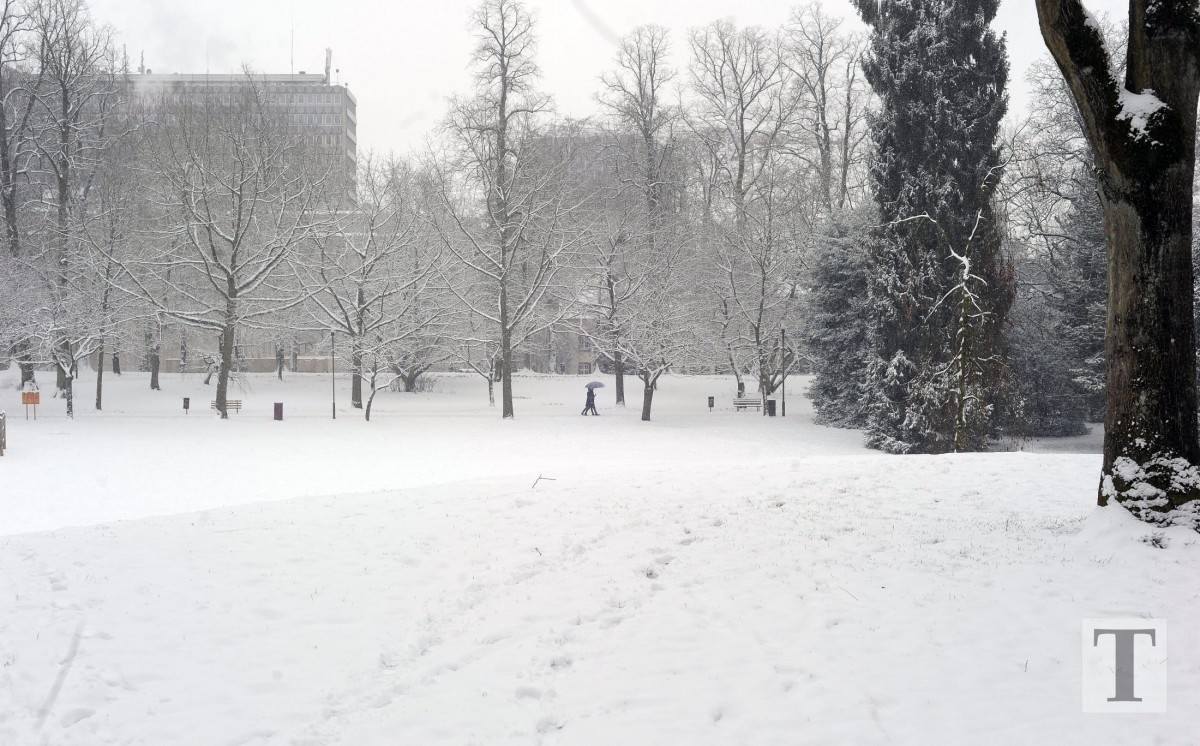 06.02.2018_Editpress_417684