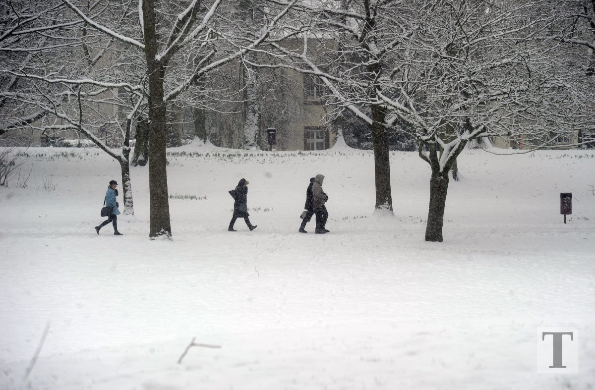 06.02.2018_Editpress_417686