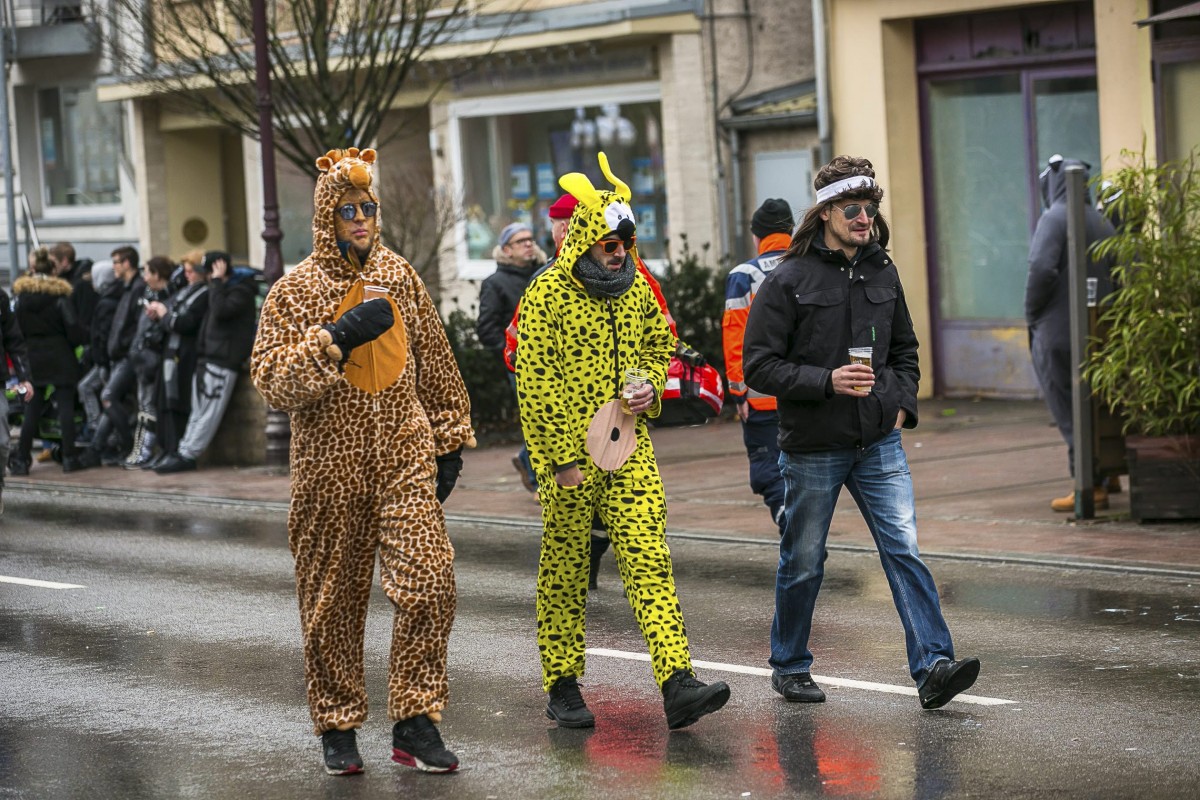 Foto: Editpress/Tania Feller