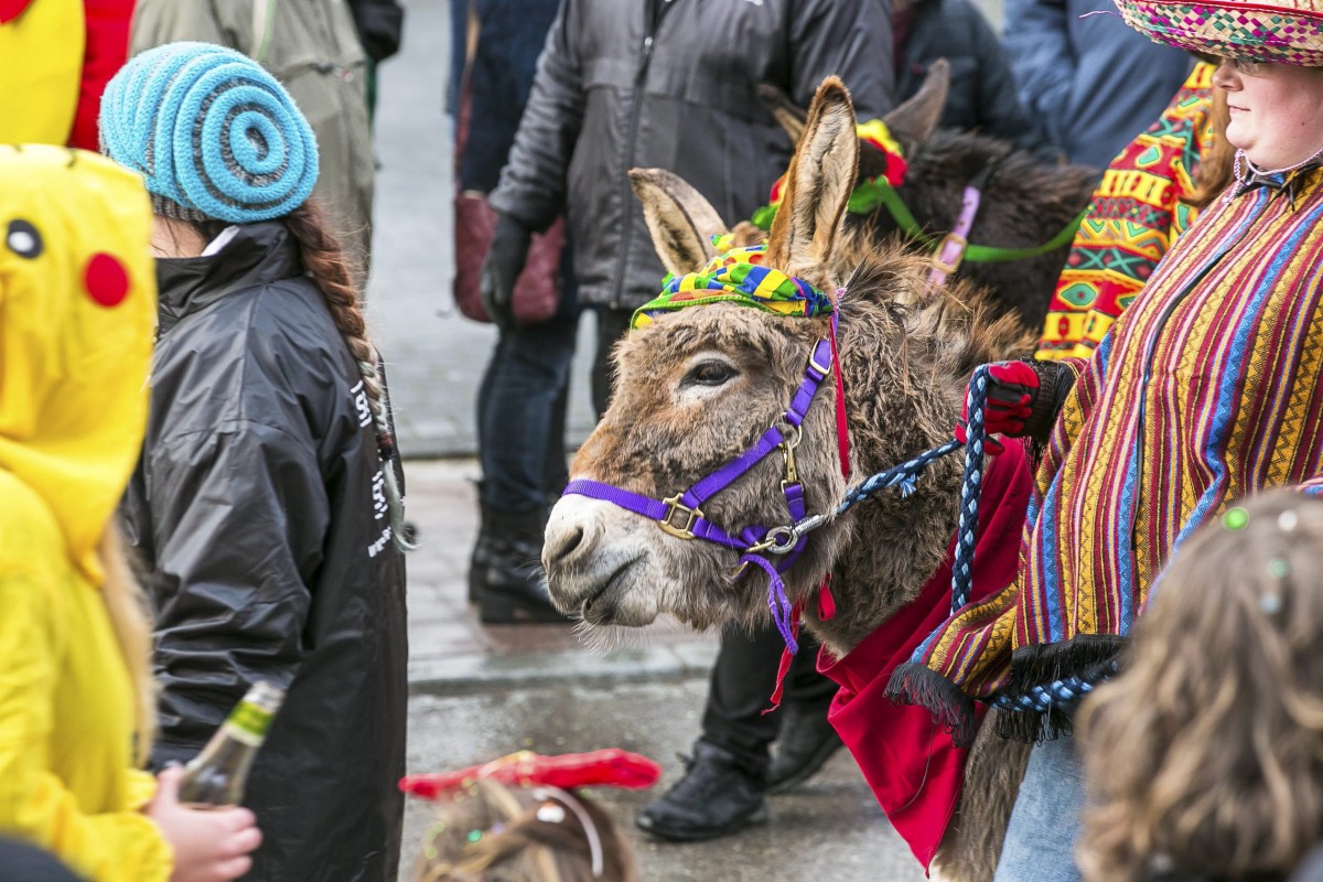 Foto: Editpress/Tania Feller