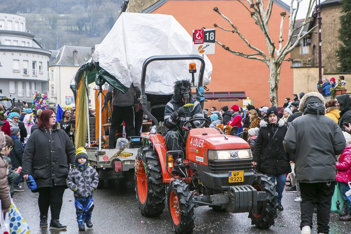 Foto: Editpress/Tania Feller