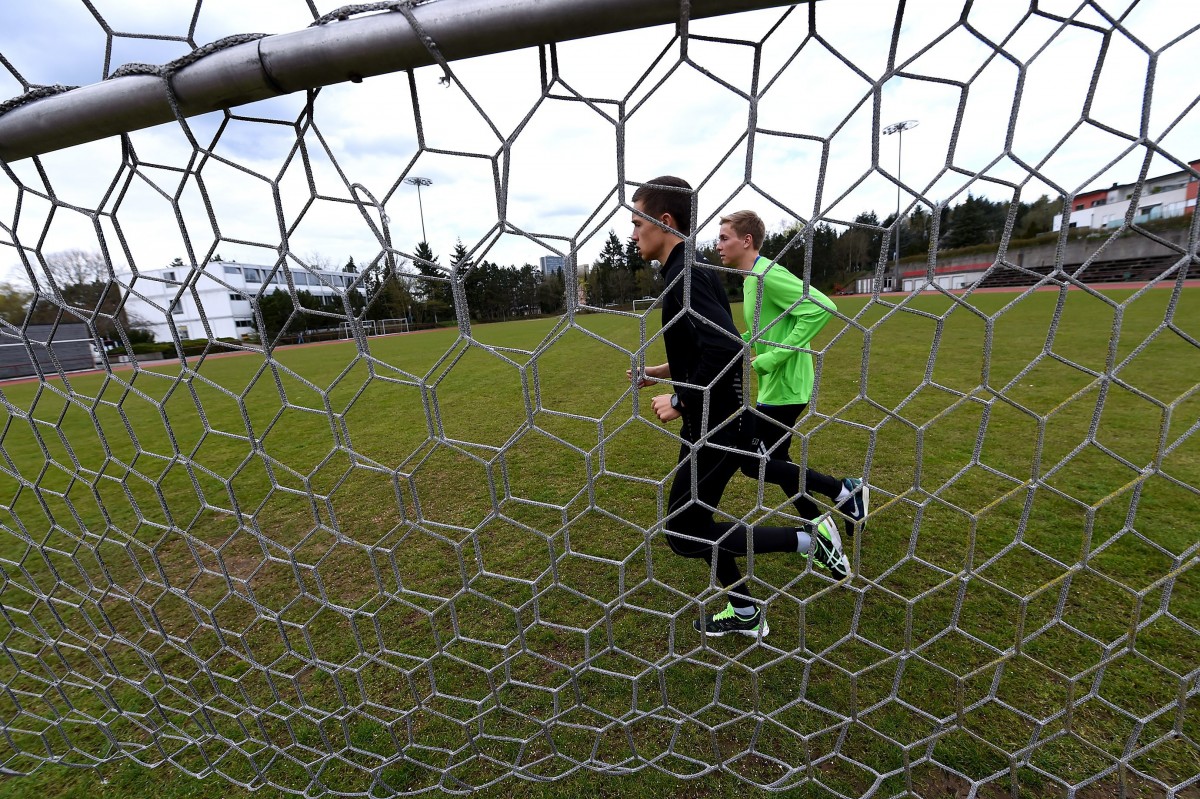 Forderung nach Professionalisierung im Verbandsmanagement