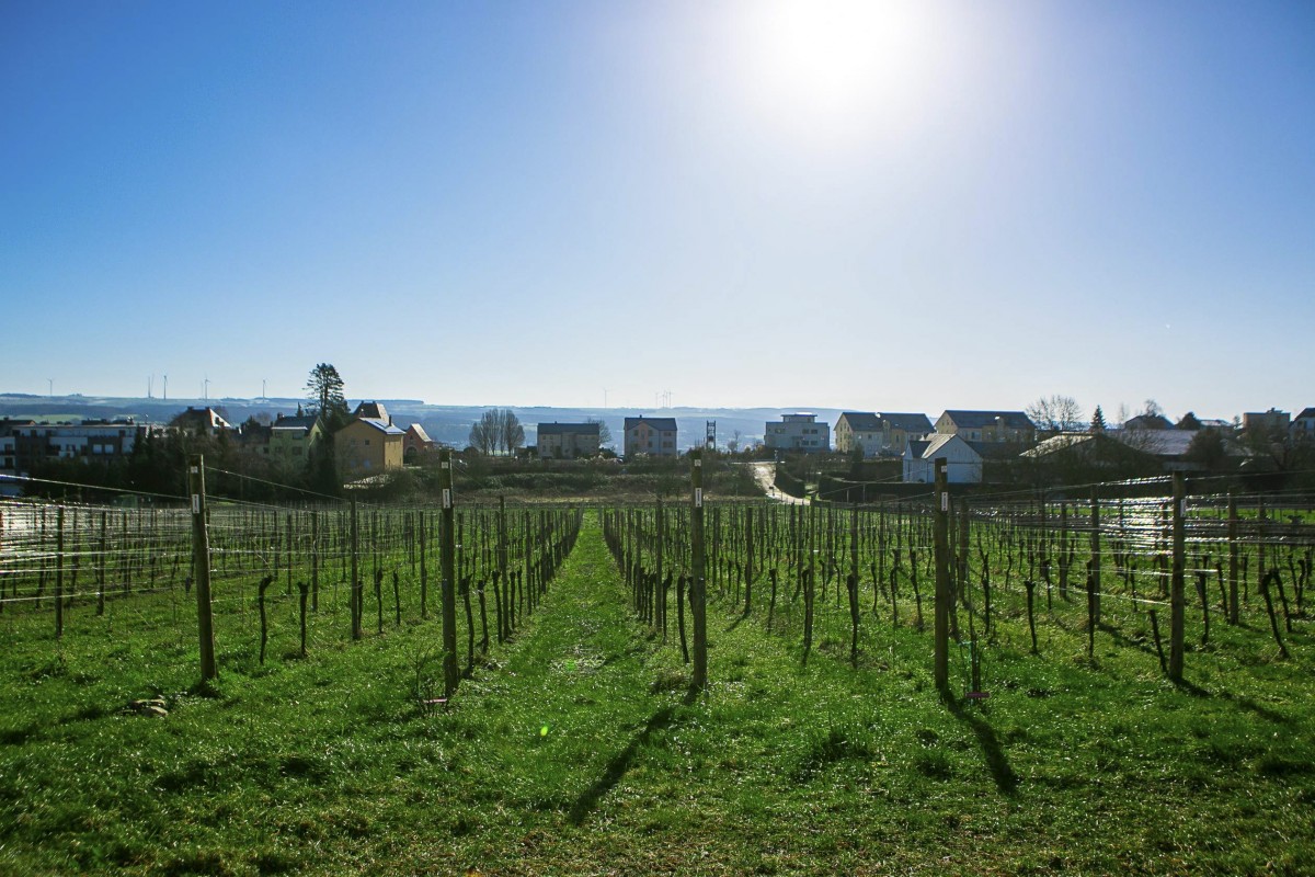 Foto: Editpress/ Tania Feller