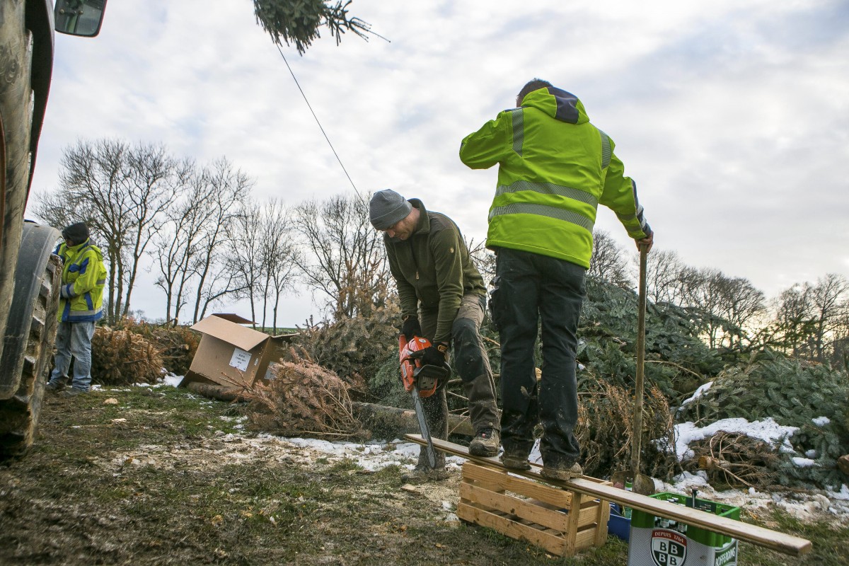 18.02.2018_Editpress_419033