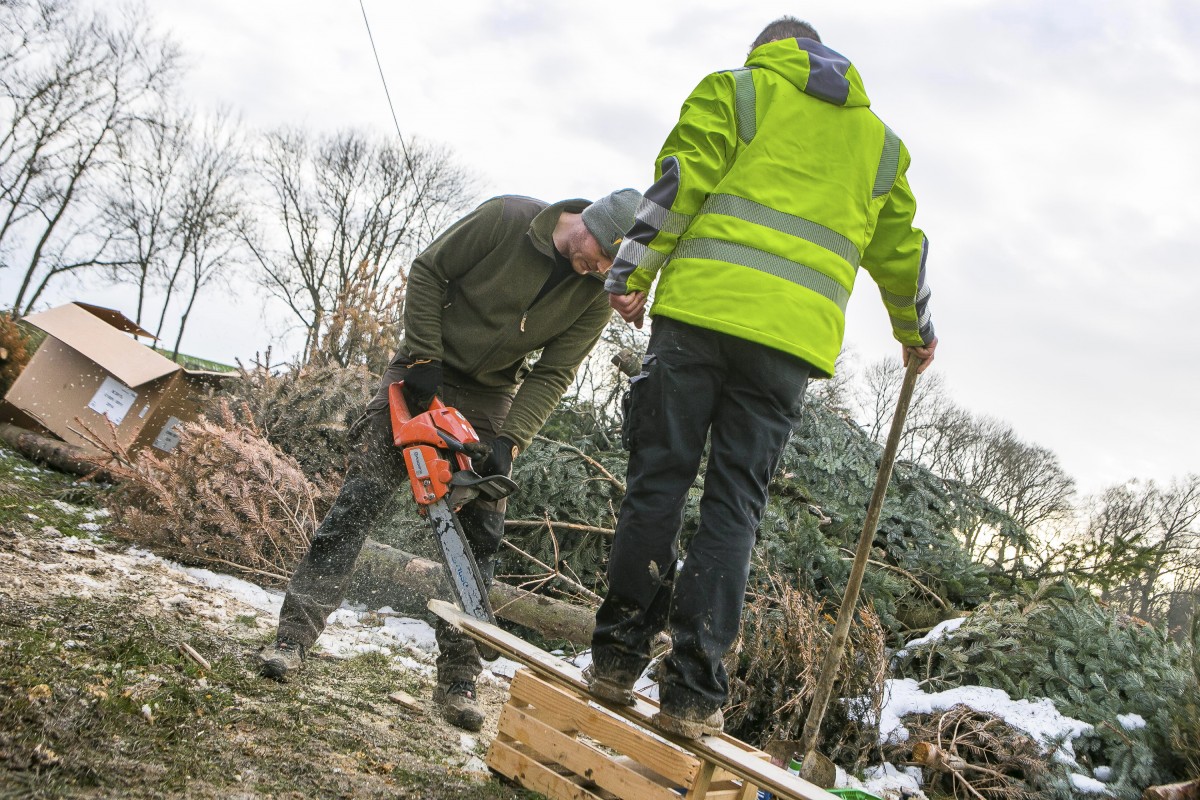 18.02.2018_Editpress_419037