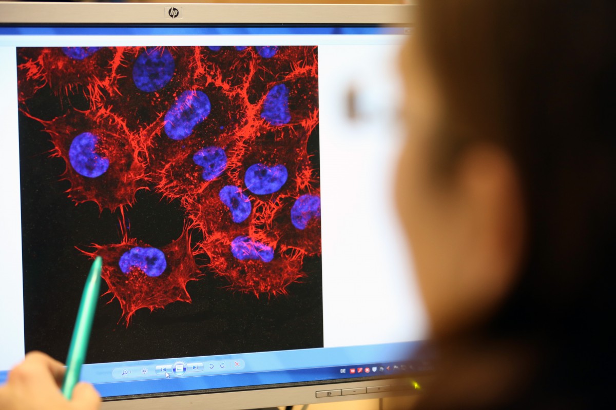 „Kämpfe um dein Leben“