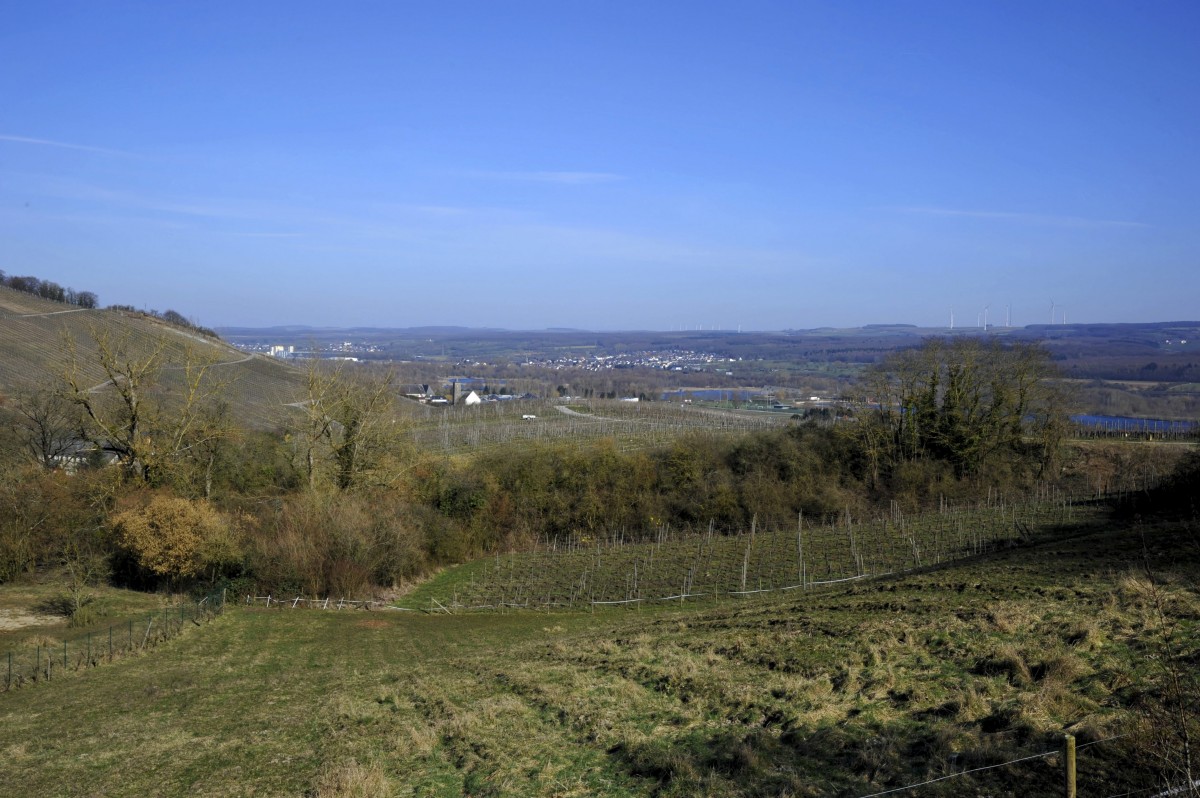 Editpress Claude Lenert (1)