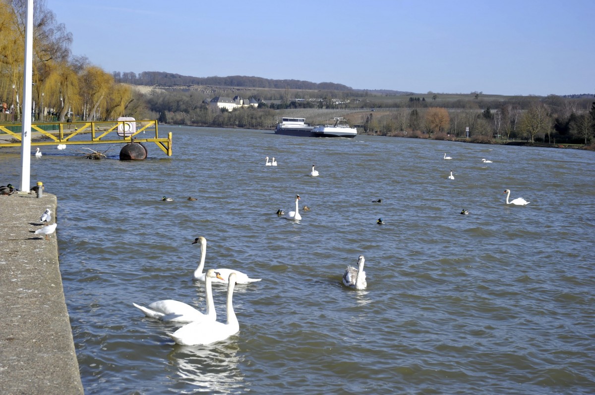 Editpress Claude Lenert (11)