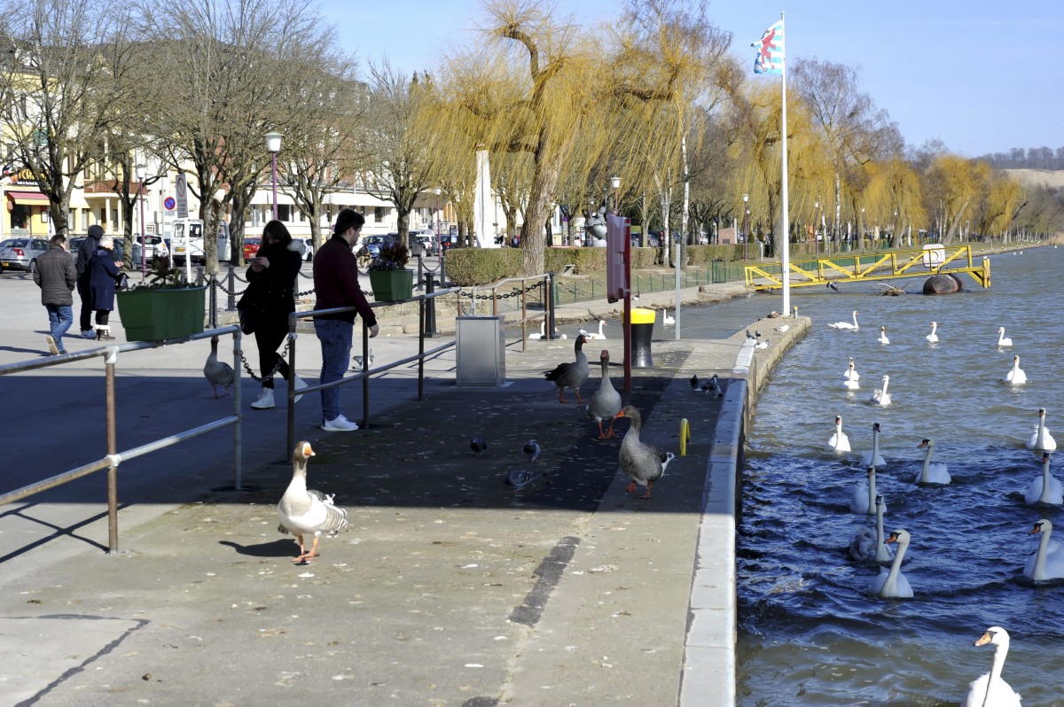 Editpress Claude Lenert (14)