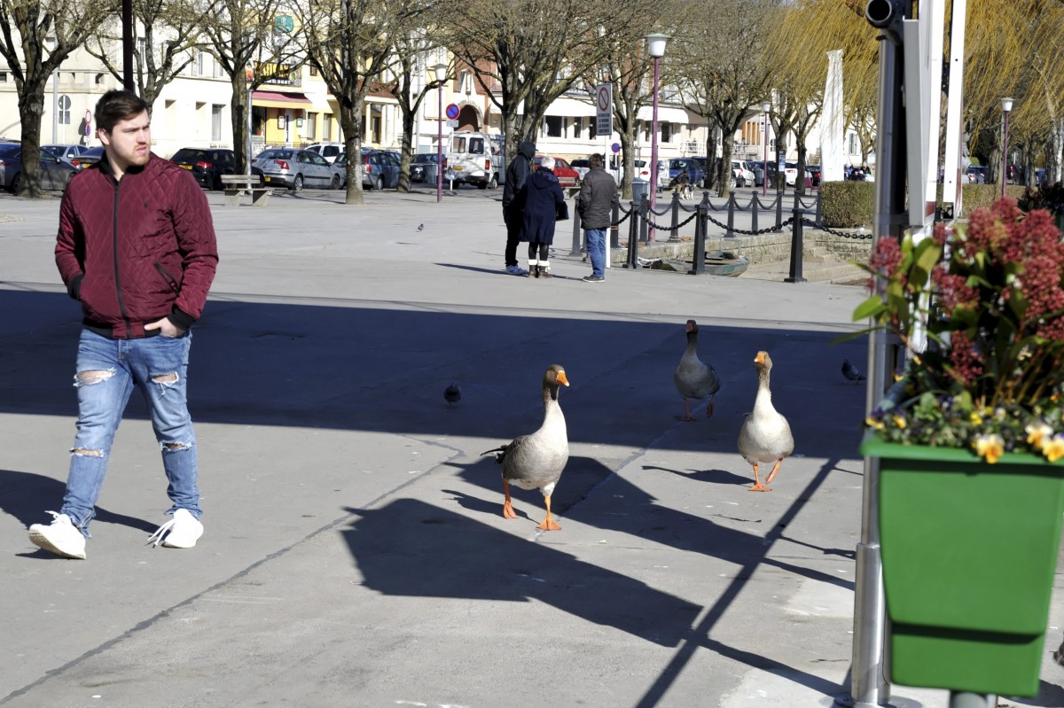 Editpress Claude Lenert (15)