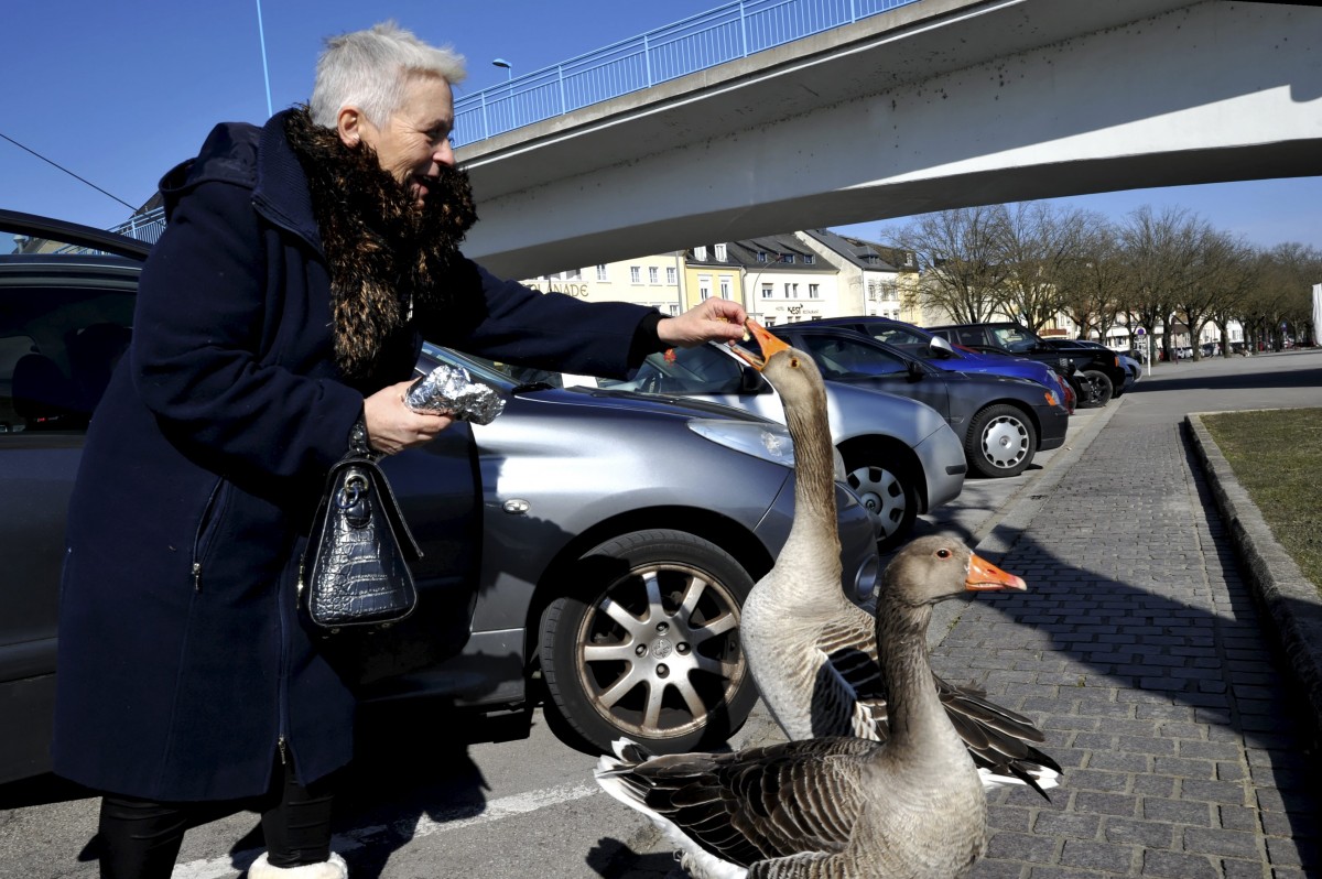 Editpress Claude Lenert (18)