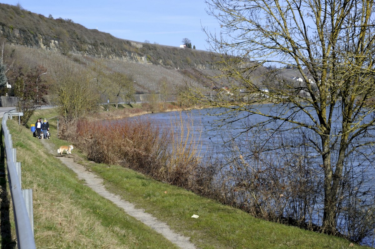 Editpress Claude Lenert (20)