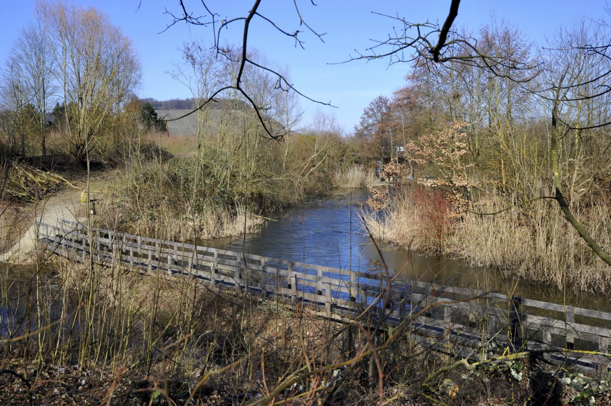 Editpress Claude Lenert (22)