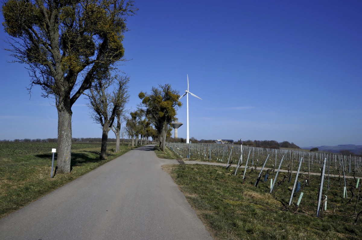 Editpress Claude Lenert (25)