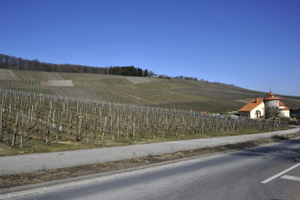 Editpress Claude Lenert (4)