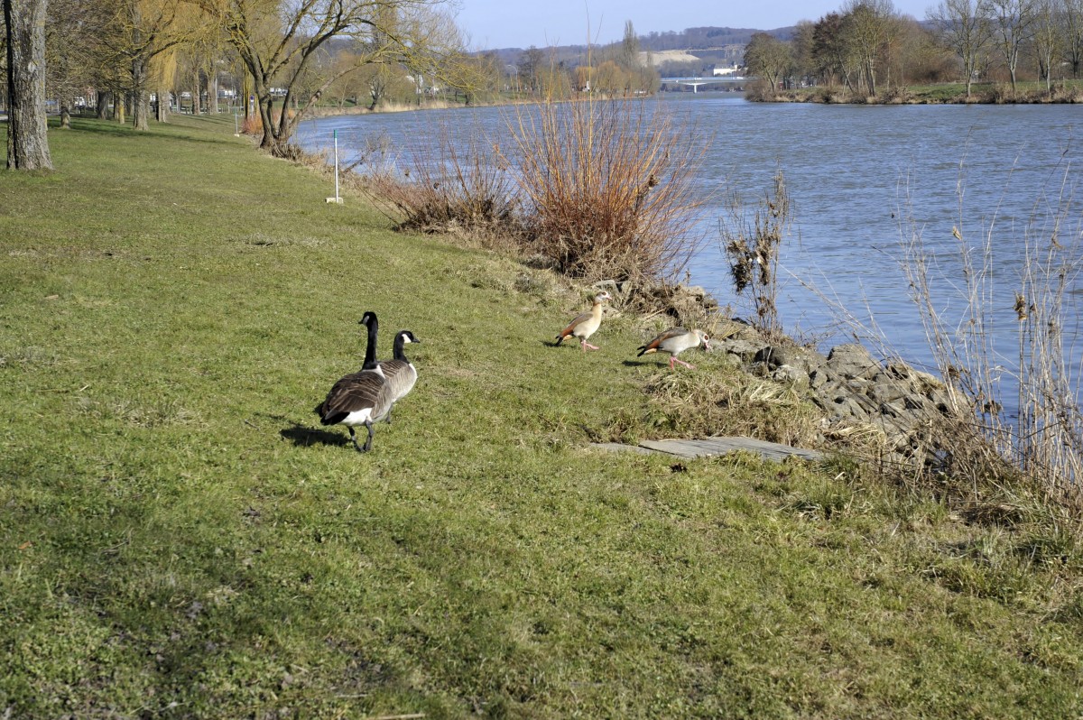 Editpress Claude Lenert (5)