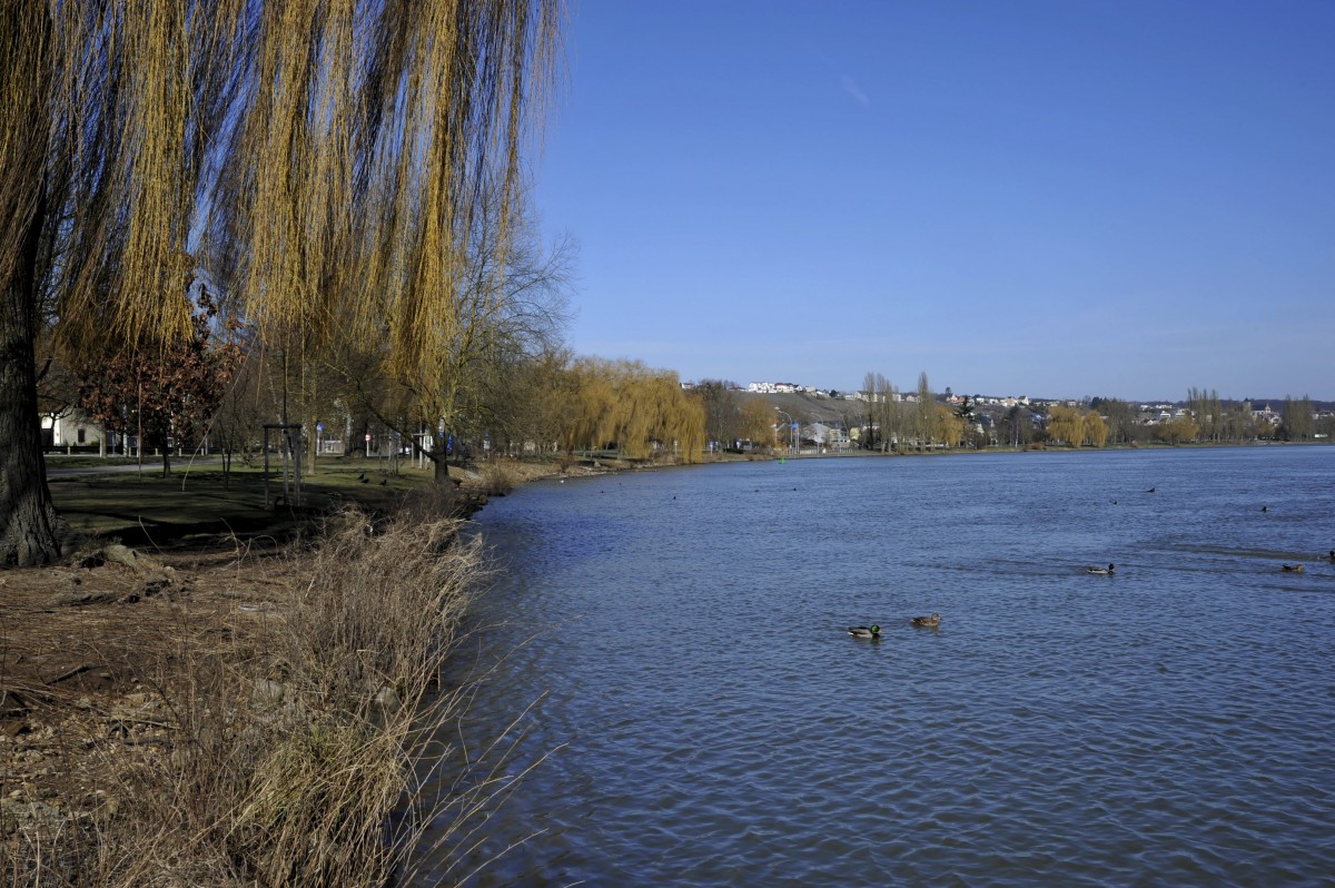 Editpress Claude Lenert (6)