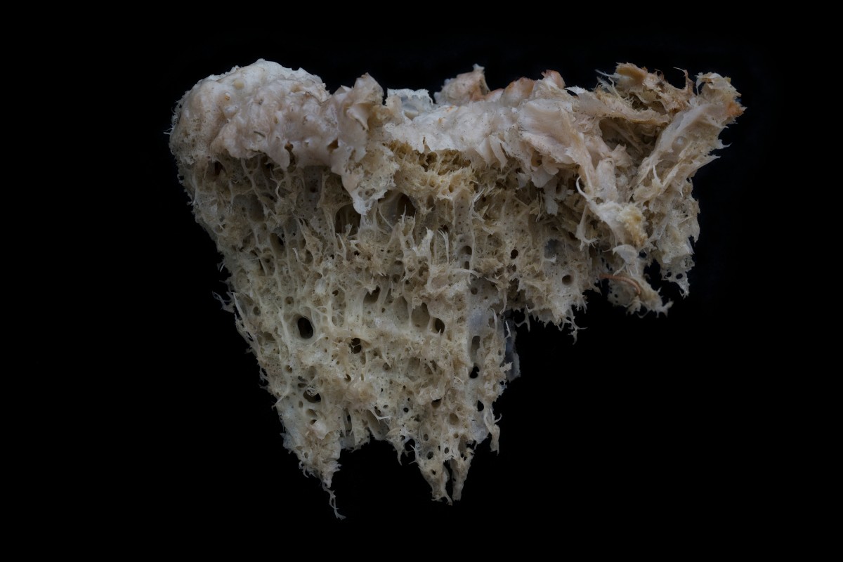 GP0STRIYR_PressMedia