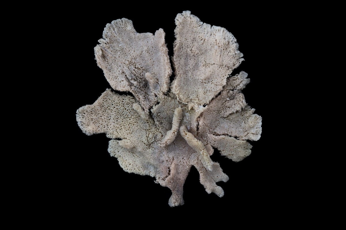 GP0STRIYW_PressMedia