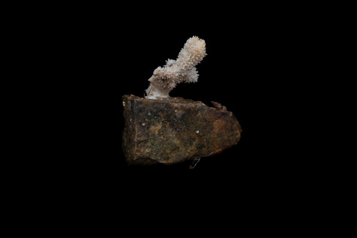 GP0STRIYY_PressMedia