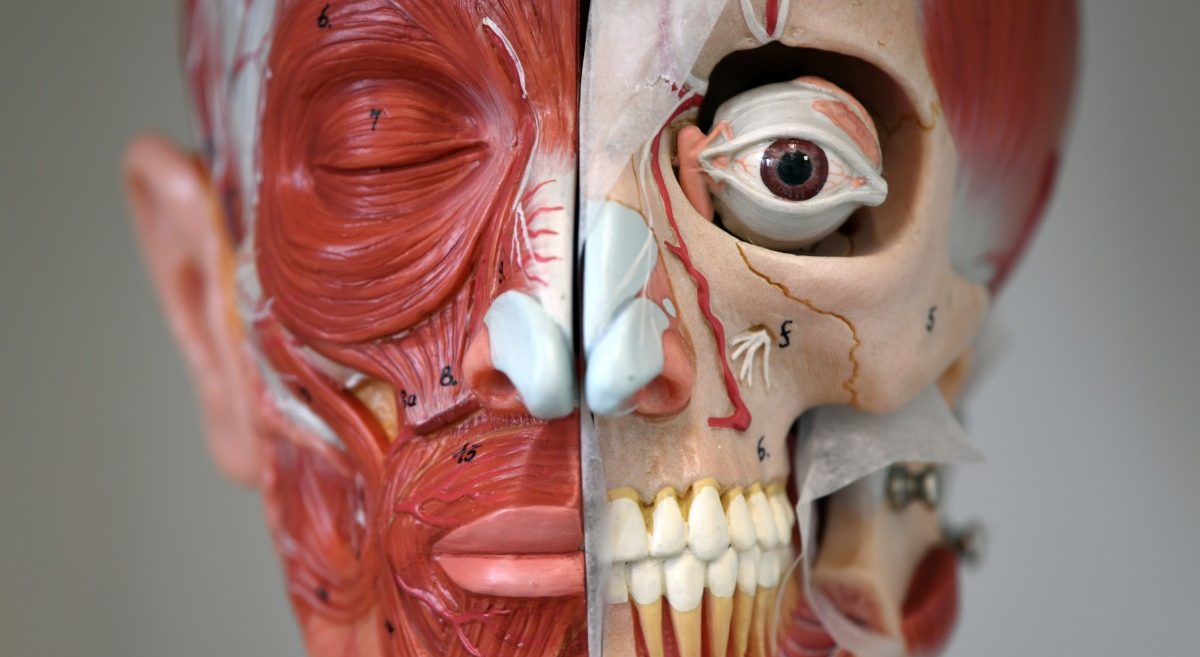 Medizinstudium: Ein schwieriger Einstieg