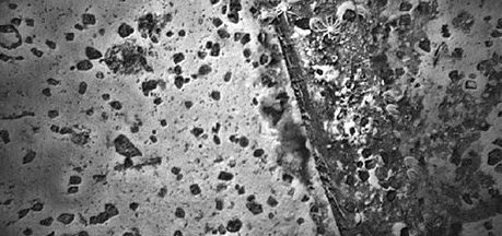 Wurde bei der Suche nach MH370 ein Schatz gefunden?