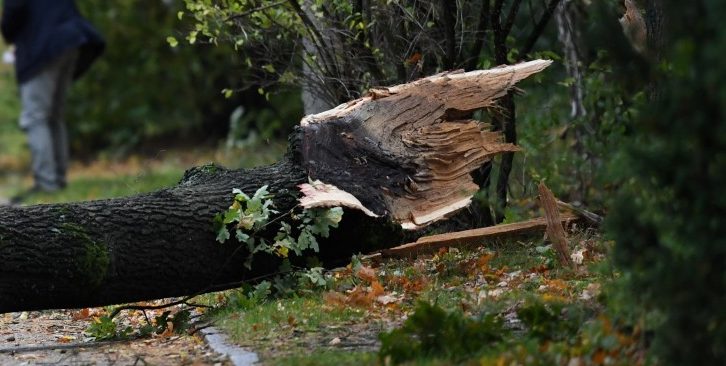Umgefallene Bäume blockieren Strecke zwischen Keispelt und Schönfels