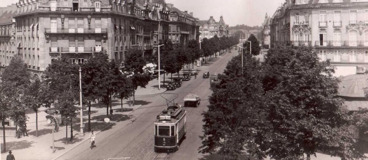 Entsetzte Luxemburger: In der „Nei Avenue“ sollen die Bäume fallen