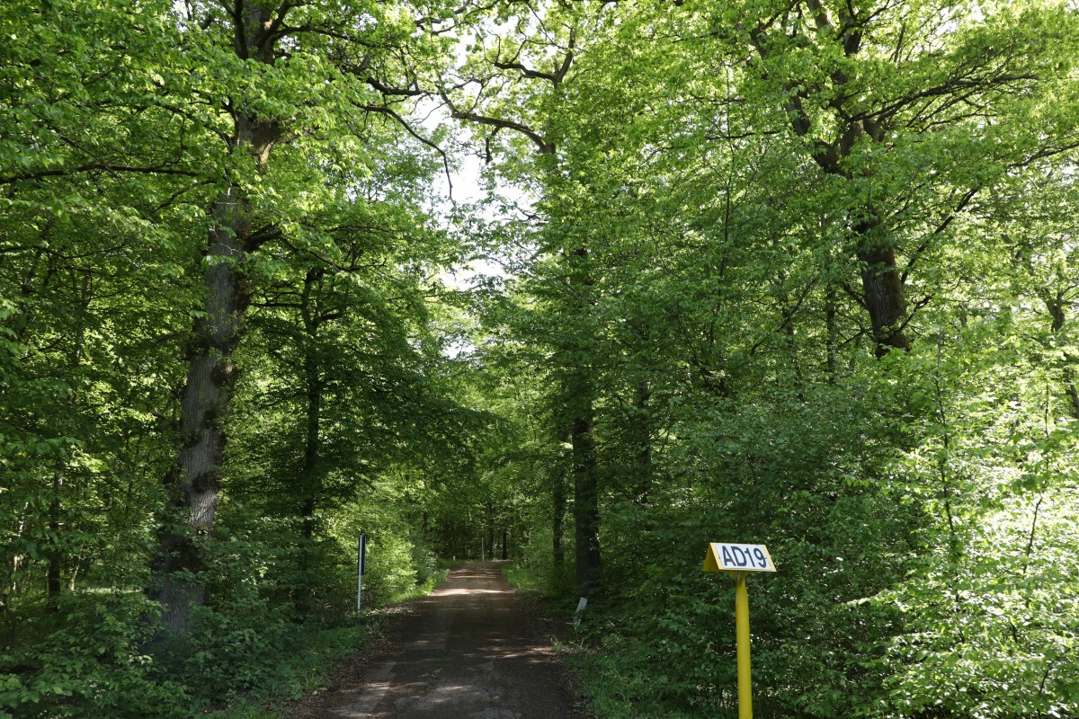 Sanem und der Kampf gegen die Umgehungsstraße