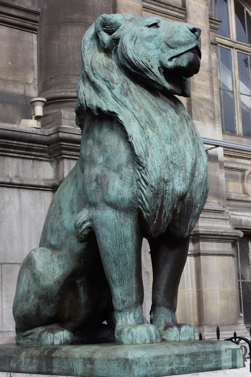 20.03.2018_Editpress_426552