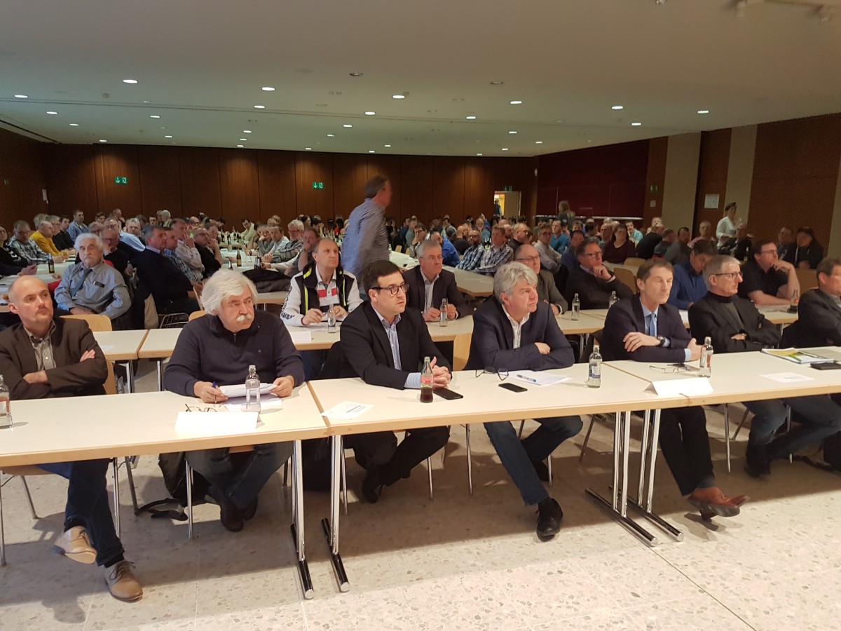 Foto: Editpress/Robert Schneider