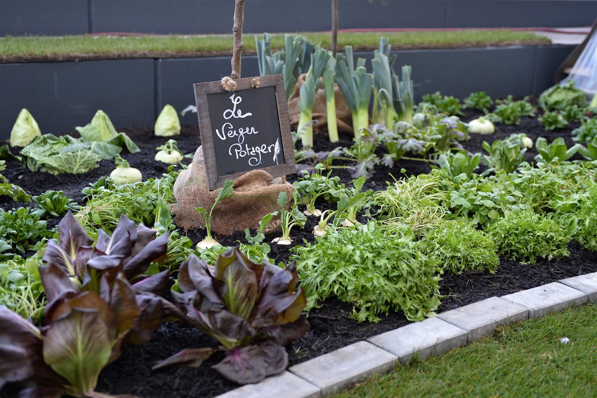 21.03.2018_Editpress_426942