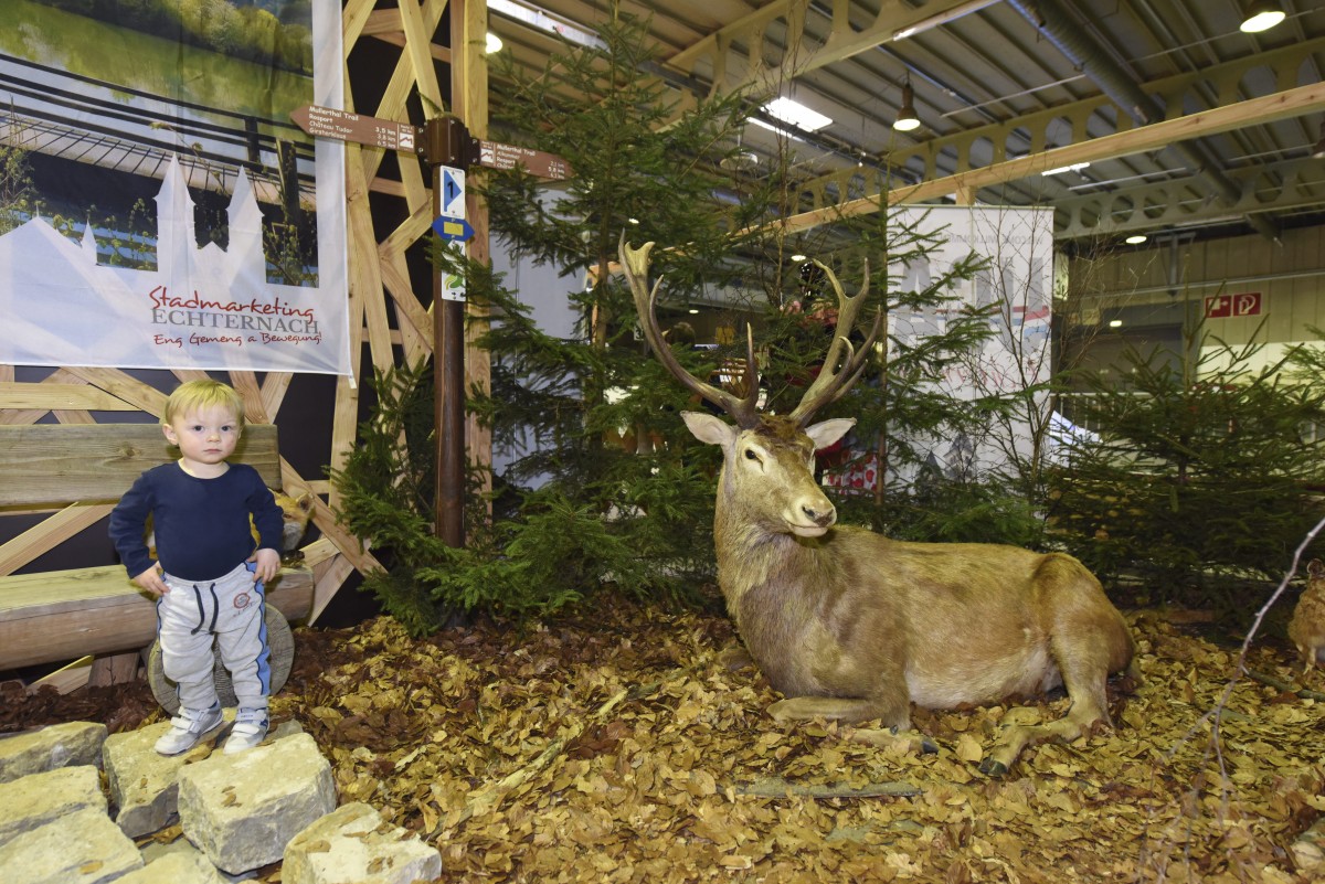 25.03.2018_Editpress_427910