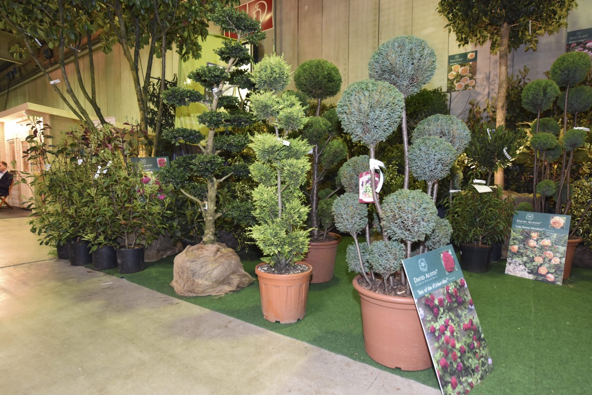 25.03.2018_Editpress_427917