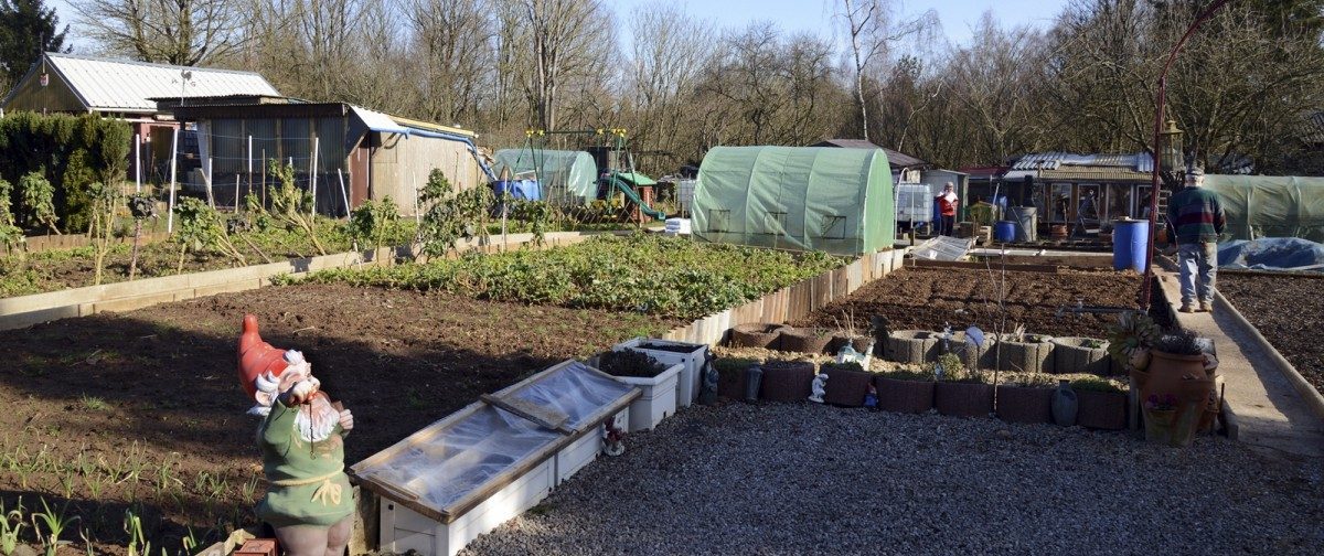 „Gemeinschaftsgärten sind sinnvoll“