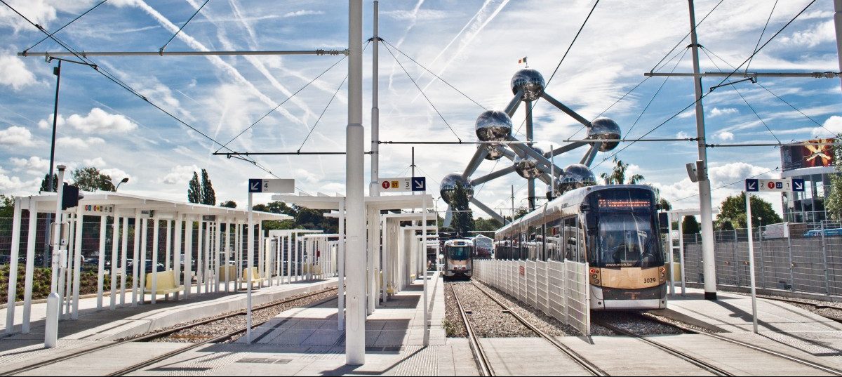 Der Krieg der Schweine