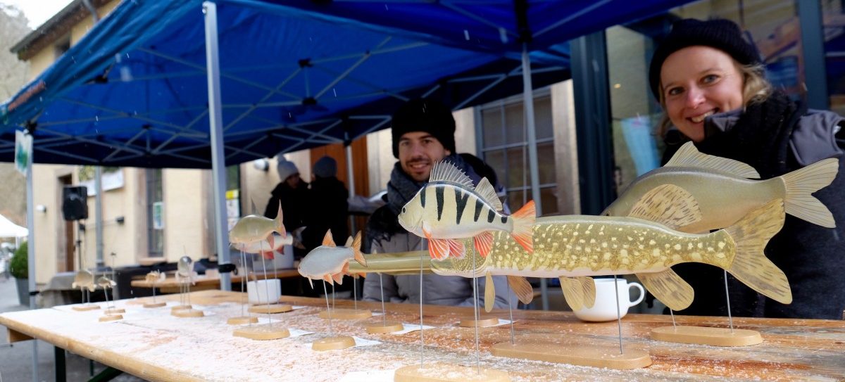 Viel Wissenswertes über Wasser