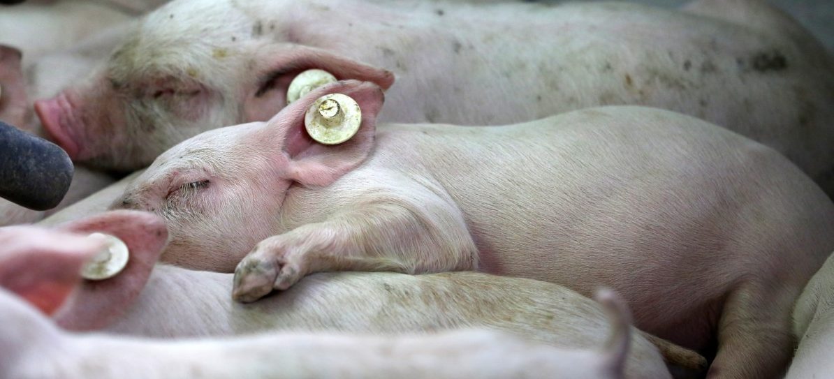 „Kuelbecherhaff“: Nur Produktionsanlage wird geschlossen