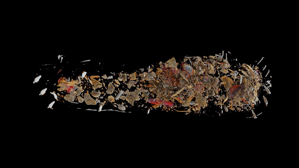 Copyright: Universität Sydney