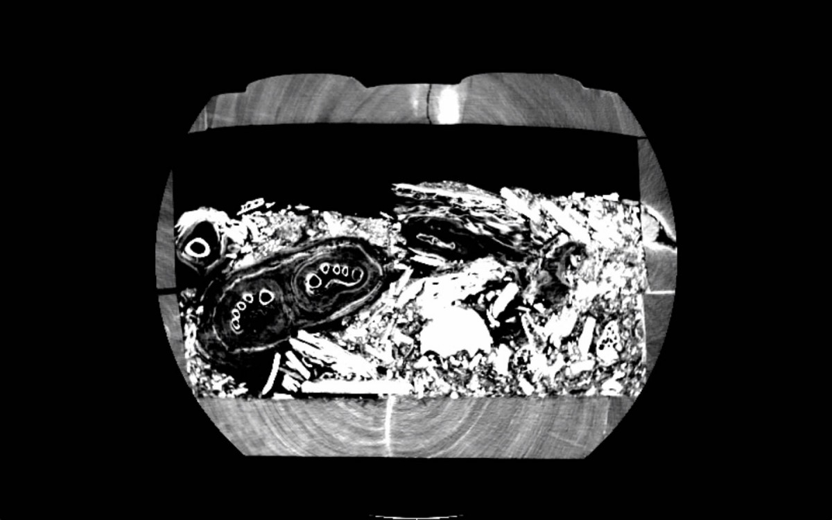 Copyright: Universität Sydney