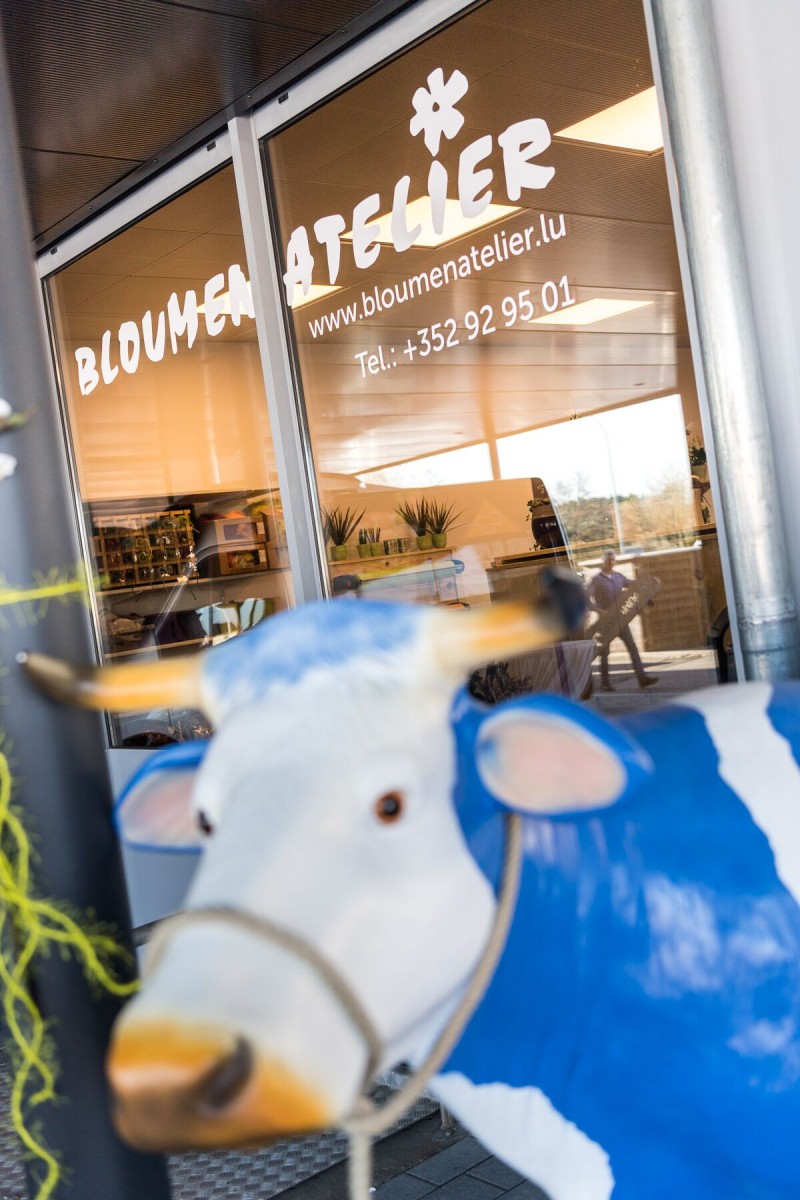 04Vision_OuvertureMarnach_2390_preview